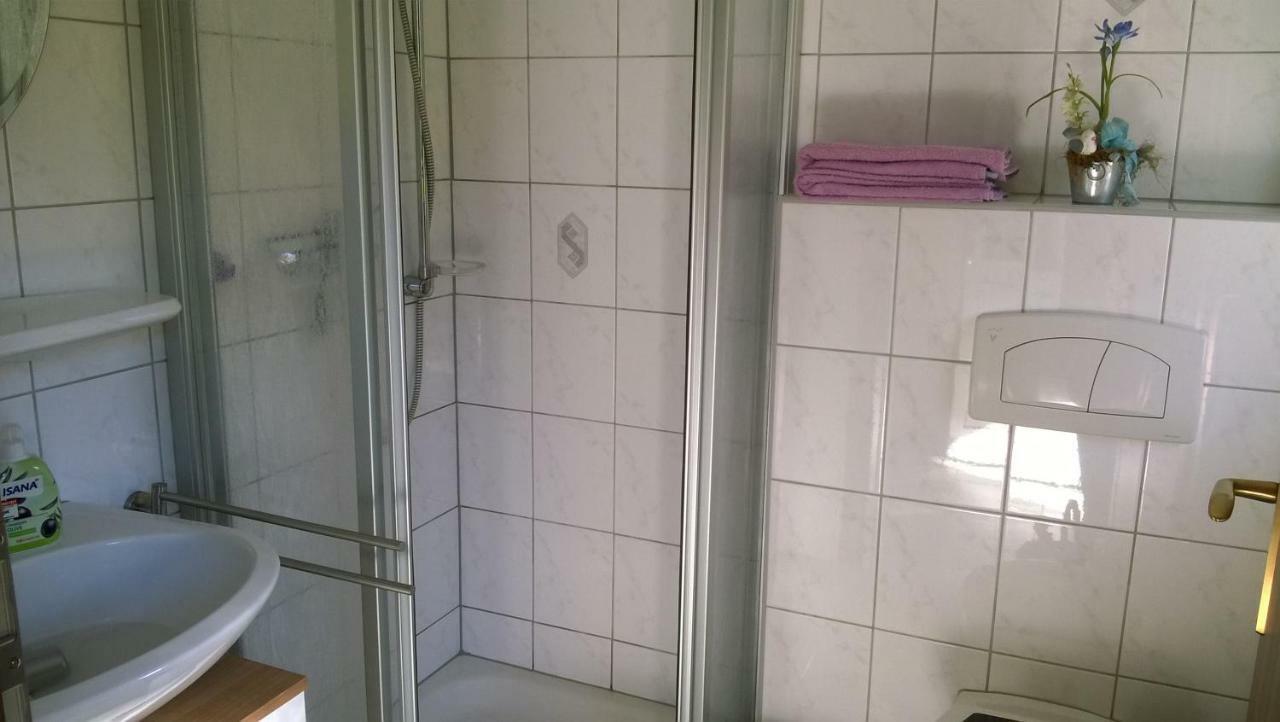 Ferienwohnung Bergblick - Inklusive Bodetal Therme ثال المظهر الخارجي الصورة