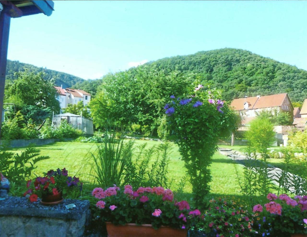 Ferienwohnung Bergblick - Inklusive Bodetal Therme ثال المظهر الخارجي الصورة